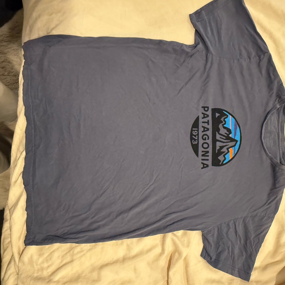 Patagonia Blue Graphic T-Shirt